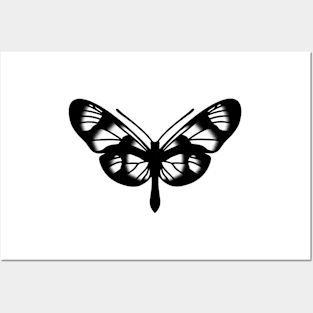 Butterfly Posters and Art